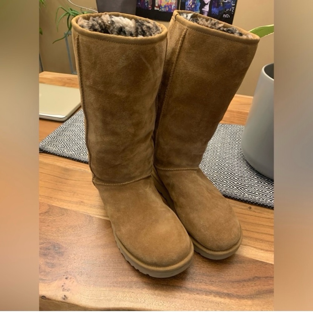 Tall Chestnut Uggs size 8